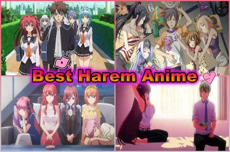 top hentai harem|harem Hentai 